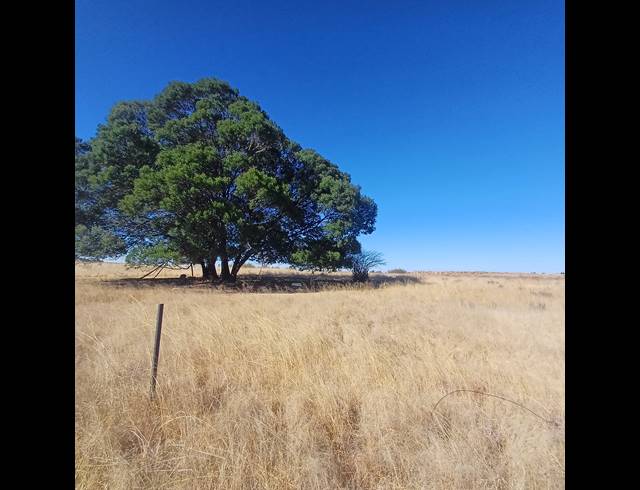 8.50HA VACANT LAND FOR SALE IN WITKOP